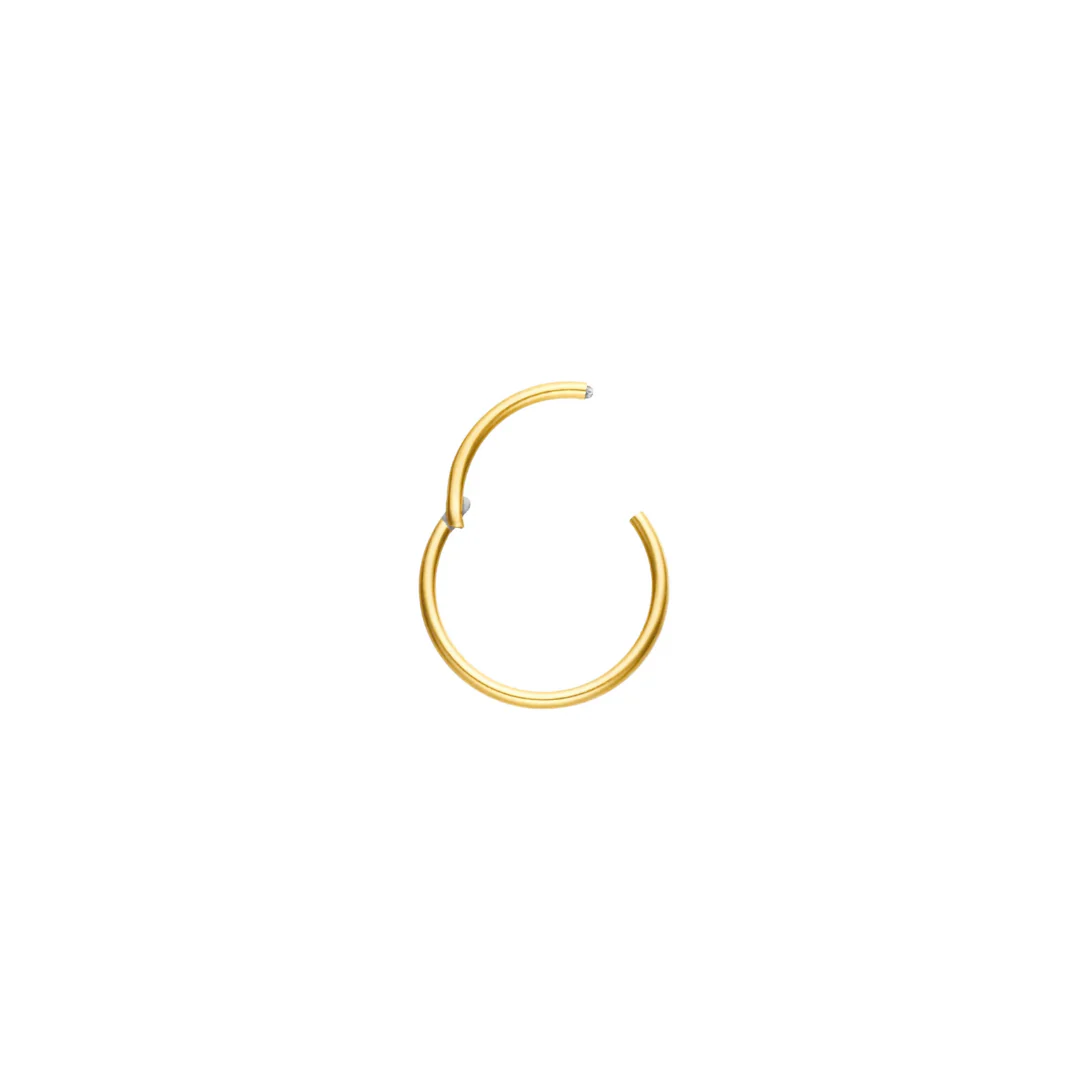 Live-in Hoop (multiple sizes) - Image 5
