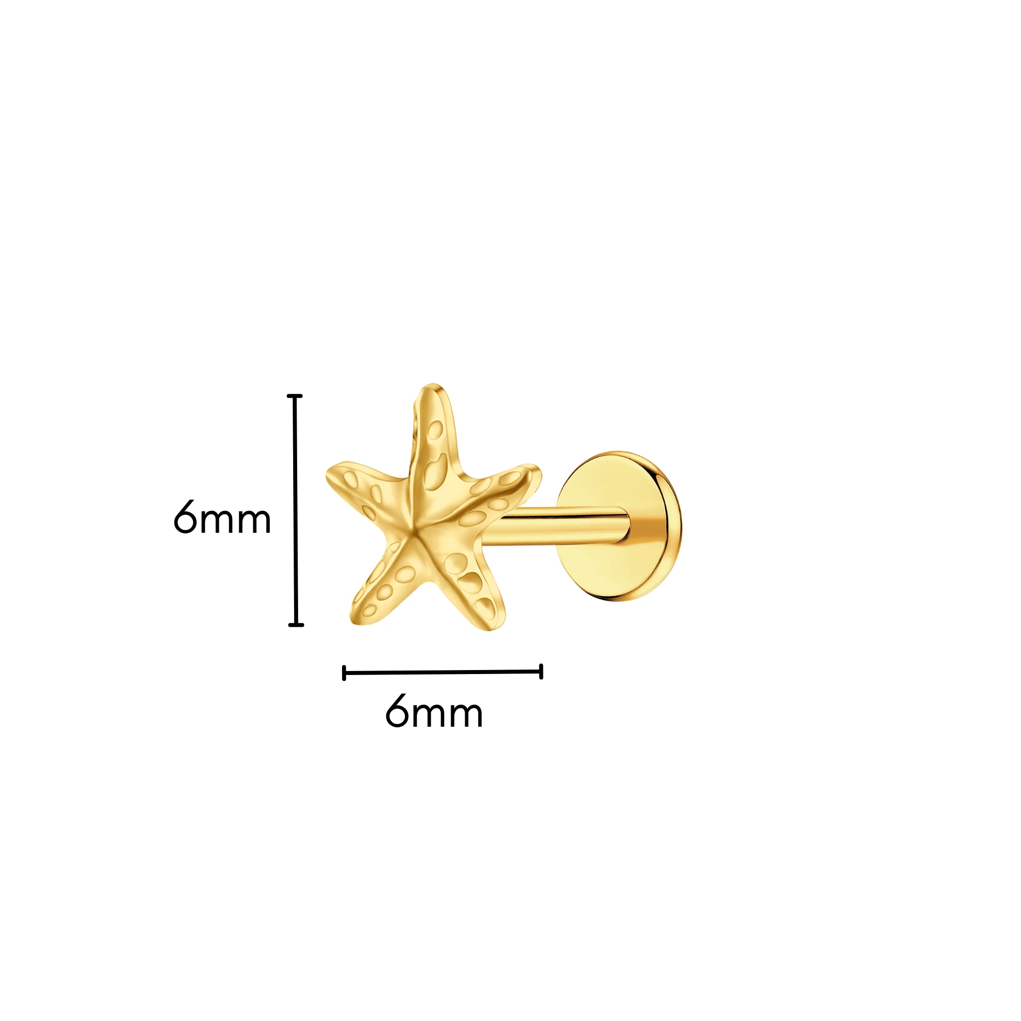 Starfish Flat Back Stud - Image 5